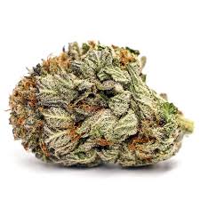 Purple Kush